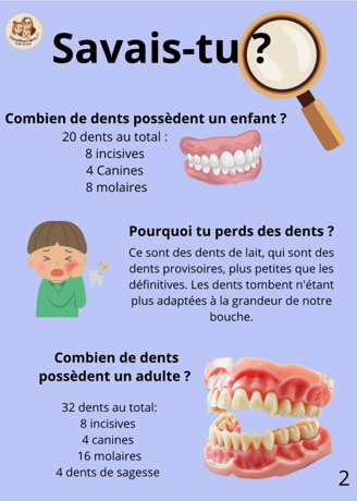 Box de la petite souris 6/10 ans