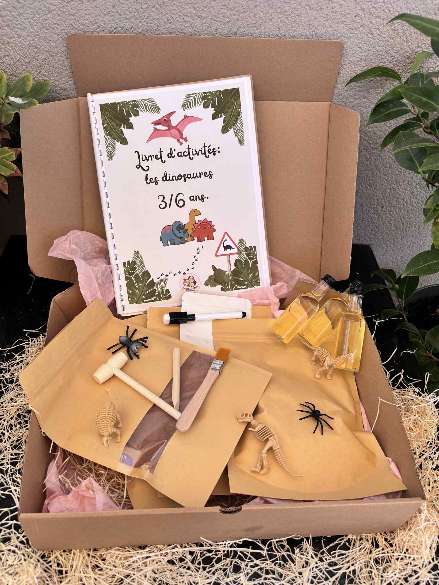 Box paléontologue 3-6 ans
