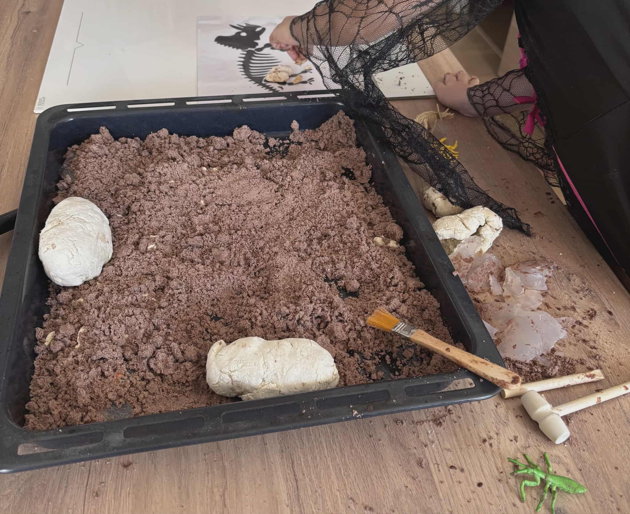 Box paléontologue 3-6 ans