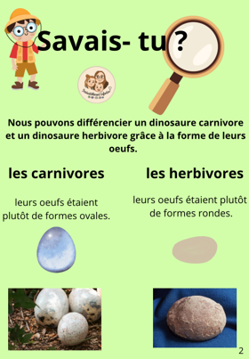 Livret d'activités paléontologue 7-10 ans 