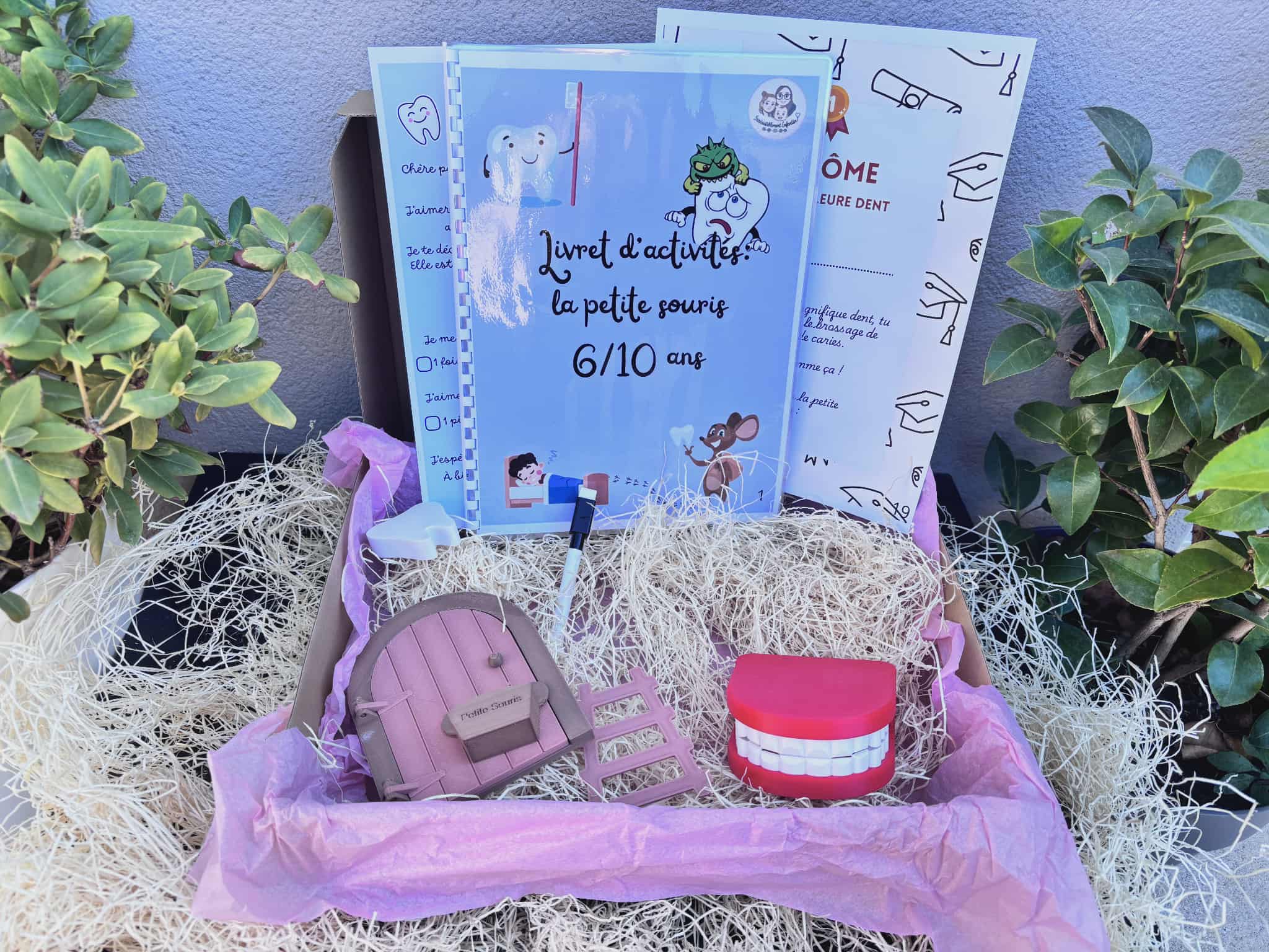 Box de la petite souris 6/10 ans