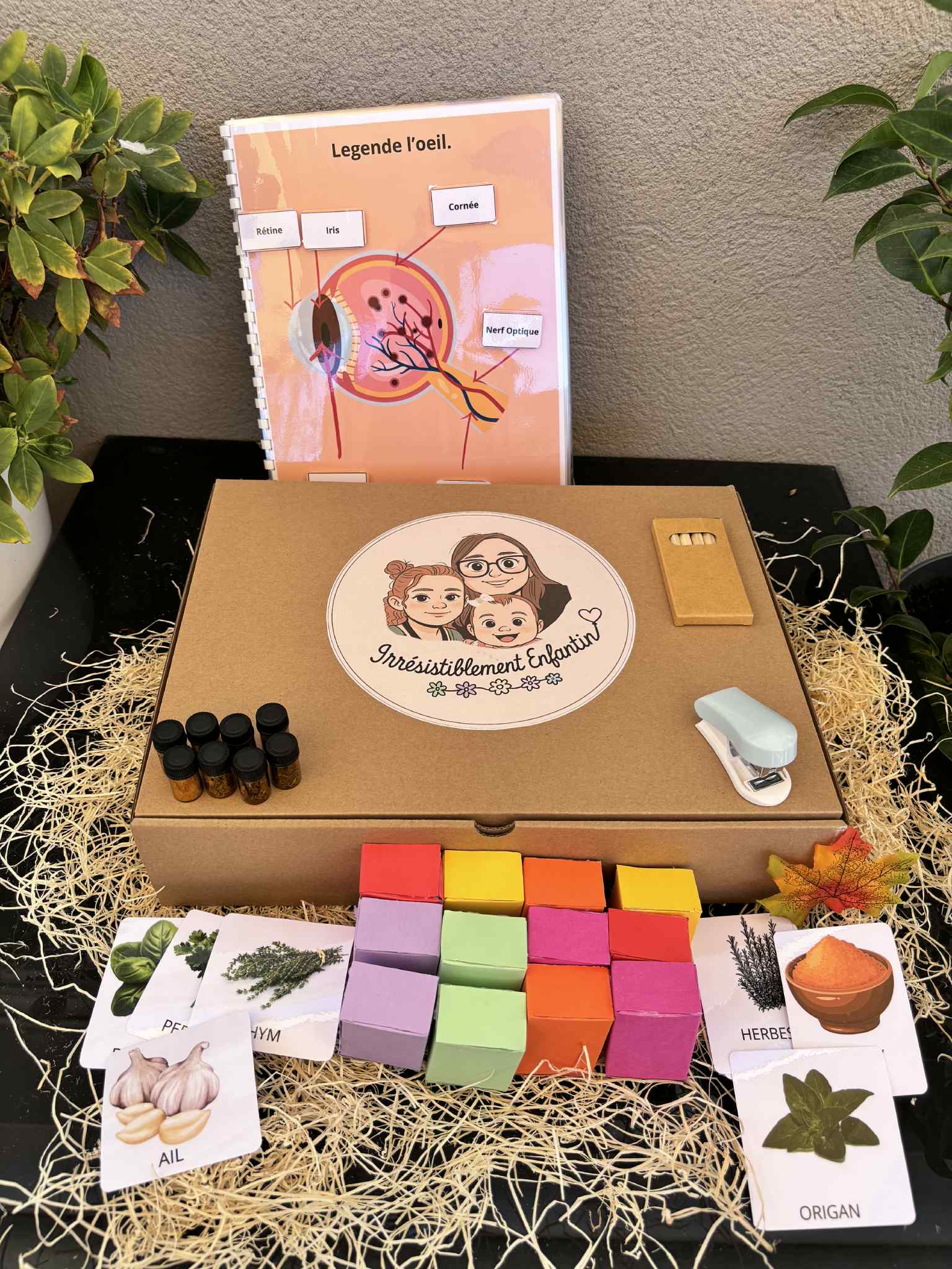 Box les 5 sens 7-10 ans