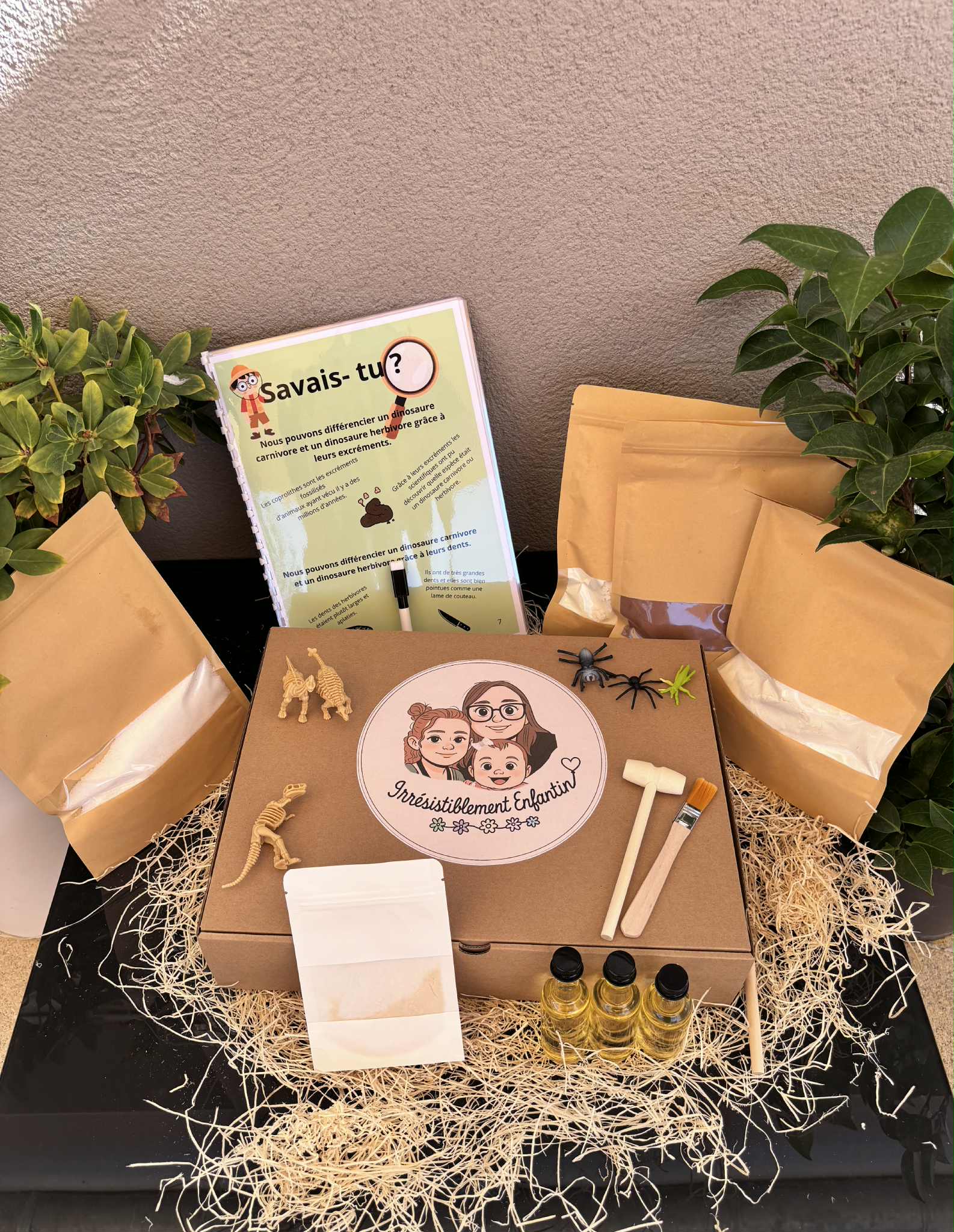Box paléontologue 7-10 ans