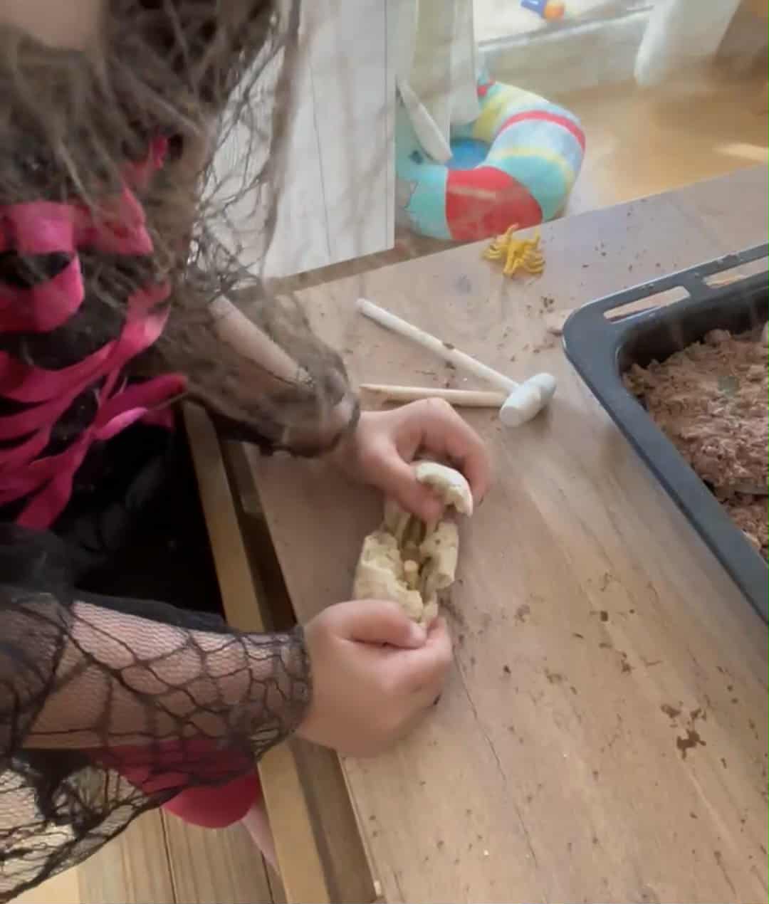 Box paléontologue 7-10 ans