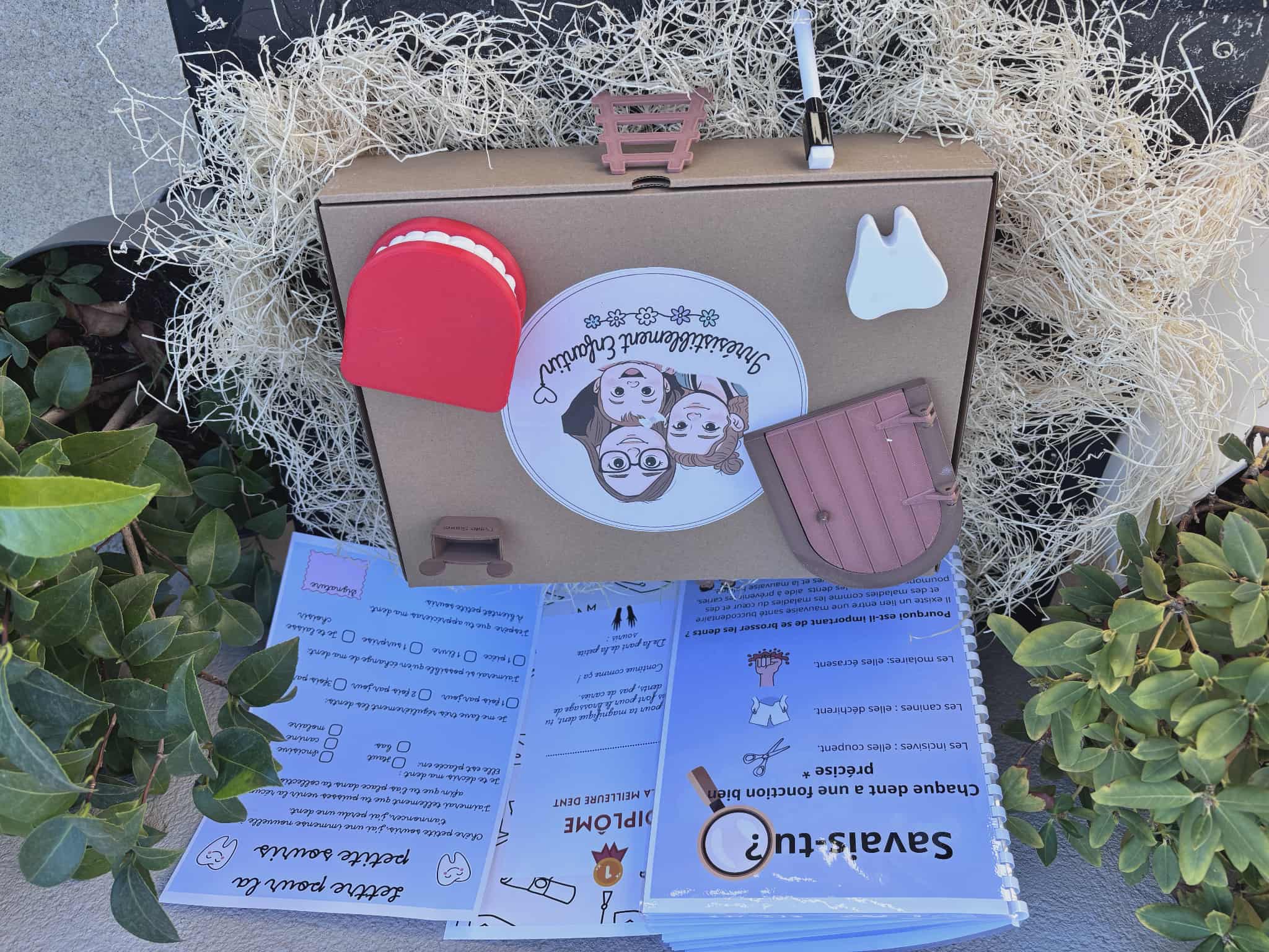 Box de la petite souris 6/10 ans