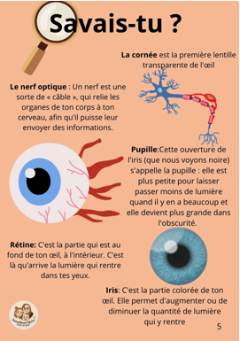 Livret les 5 sens 7-10 ans