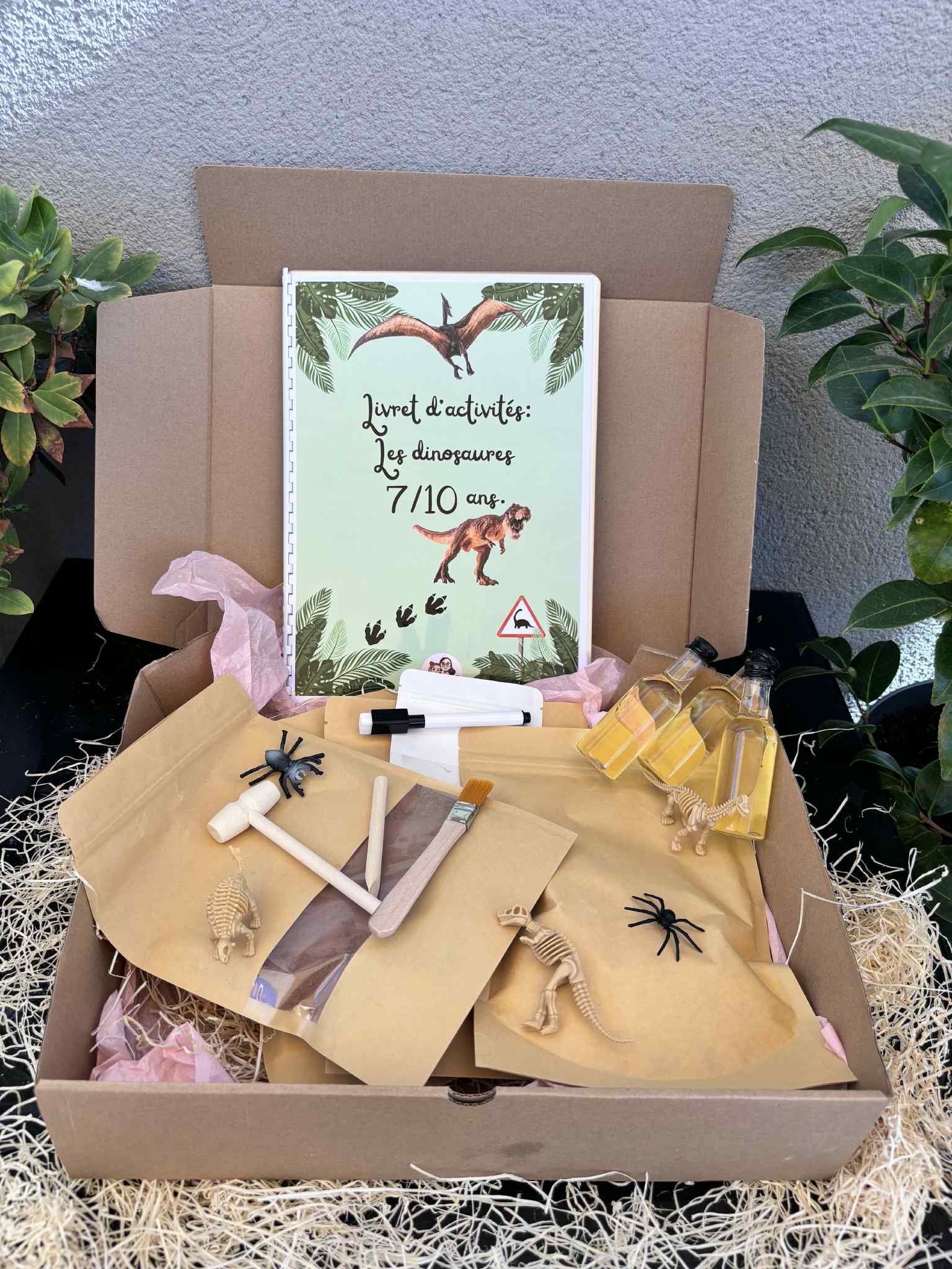 Box paléontologue 7-10 ans