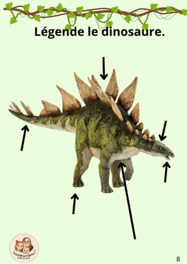 Livret d'activités paléontologue 3-6 ans 