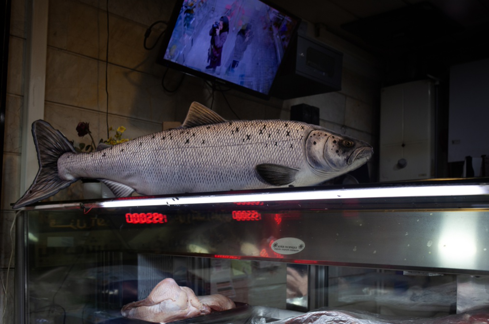 Nooshin Shafiee , And all this slips around 