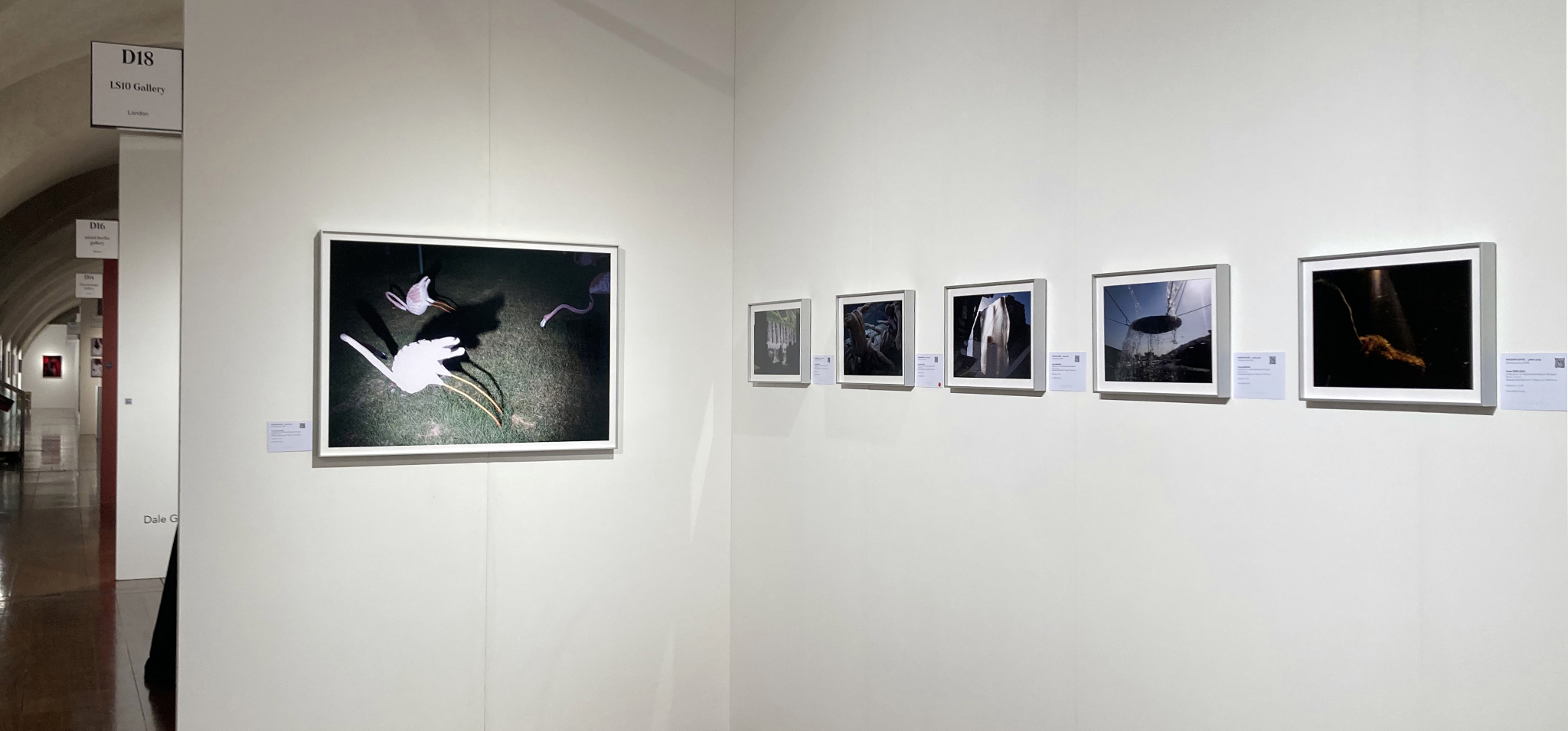 Nooshin Shafiee, Pulse series