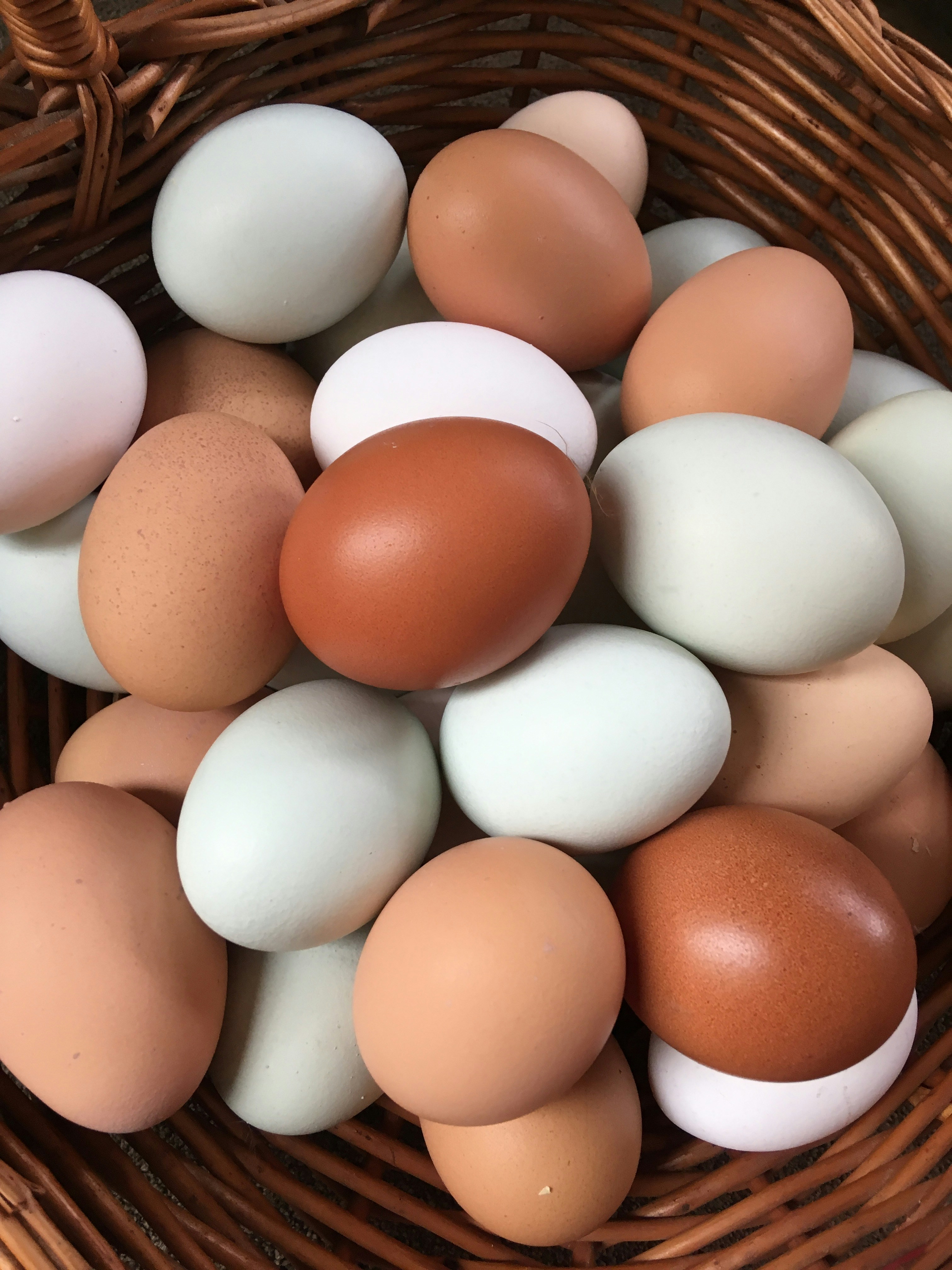 L Dozen (Pasture-Raised Eggs)