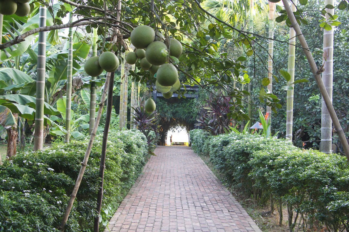 Chan May Shore Excursion: The Soul of Hue & Thuy Bieu Village