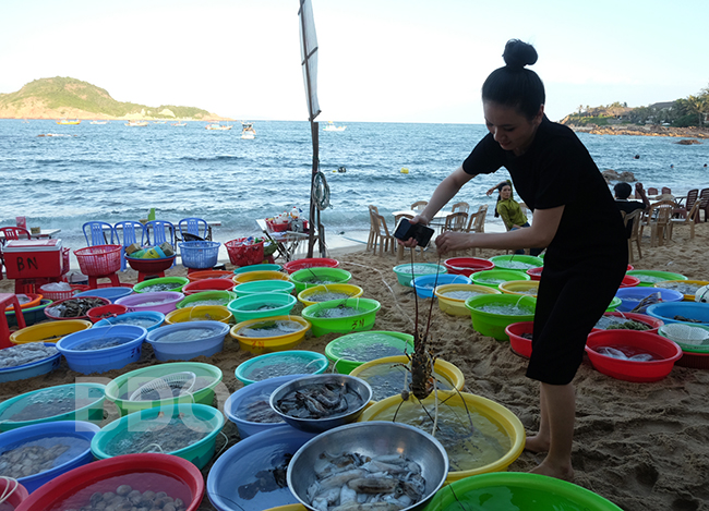 Quy Nhon Shore Excursion: Soul of the Coast & Local Delights