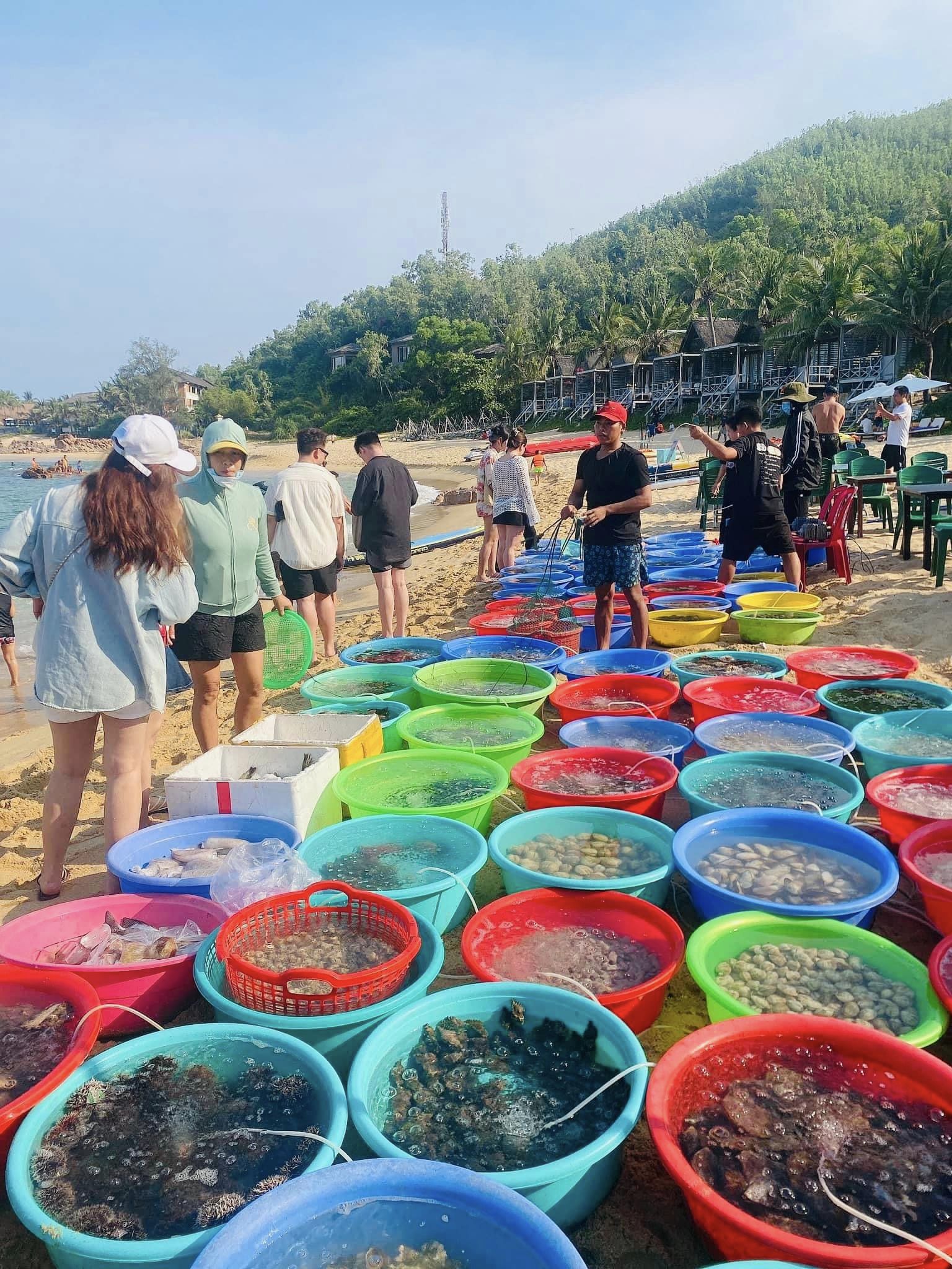 Quy Nhon Shore Excursion: Soul of the Coast & Local Delights