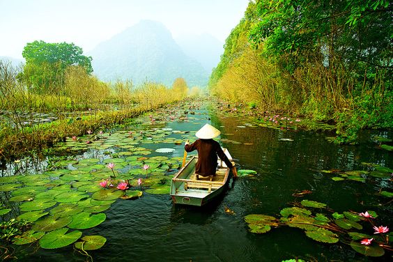 The Ultimate Ninh Binh Experience: Pedal with Your Private Audio Guide