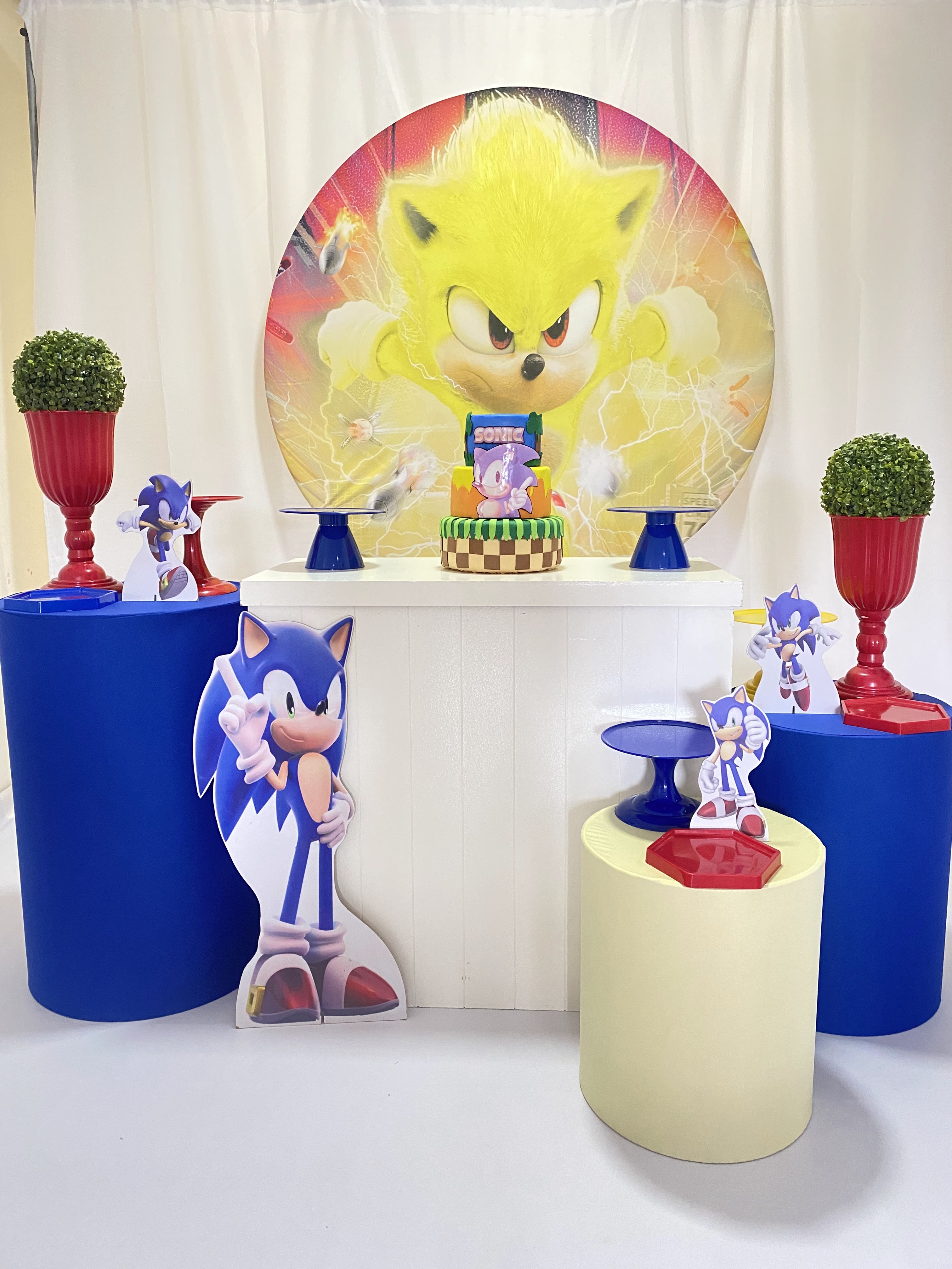 Decoração Festa Sonic