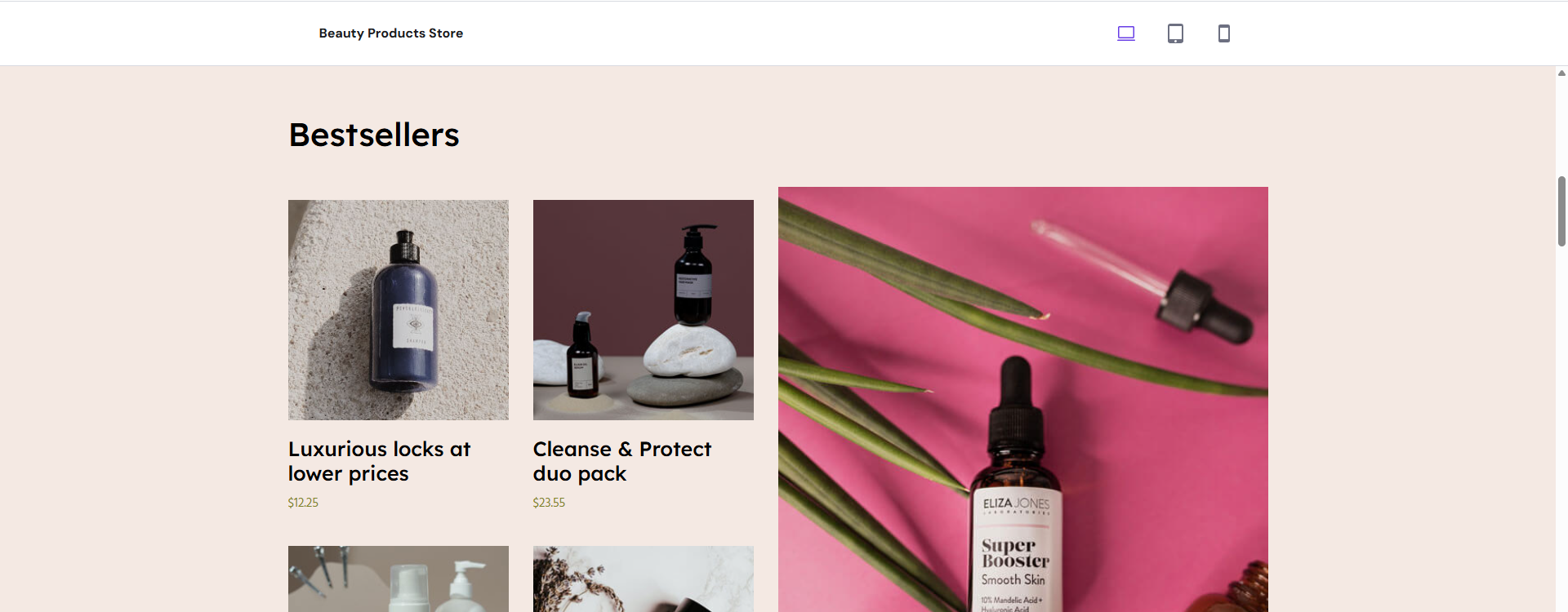 Web Profesional + Tienda Básica