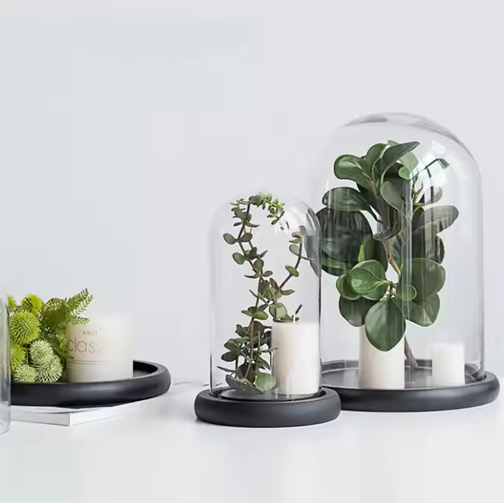 Table decoration Cloche Bell Jar Display Case Black MDF Base Decorative Clear Glass Dome