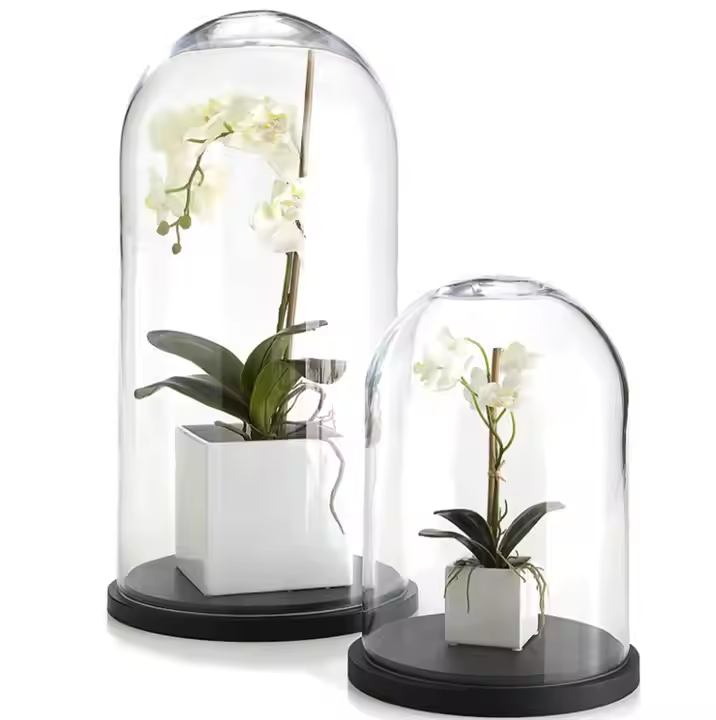 Table decoration Cloche Bell Jar Display Case Black MDF Base Decorative Clear Glass Dome