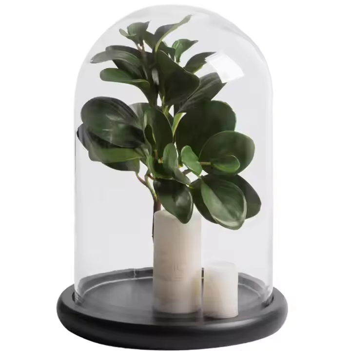 Table decoration Cloche Bell Jar Display Case Black MDF Base Decorative Clear Glass Dome