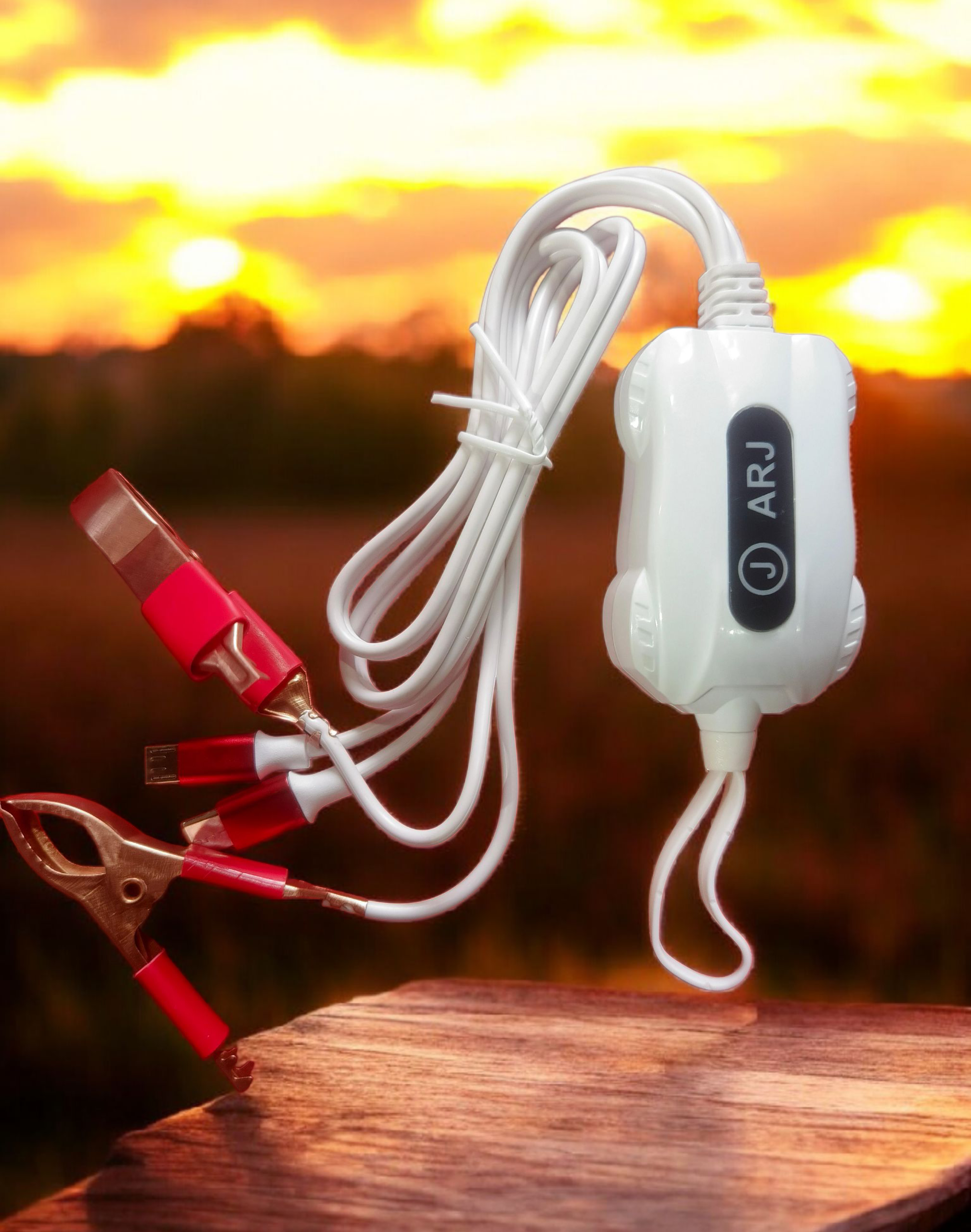 ARJ Micro+TypeC DC Clip Charger 3.4A