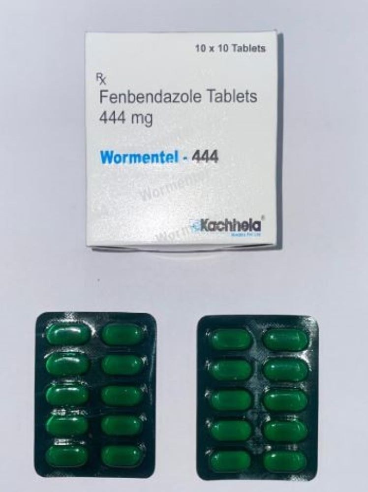 Fenbendazole Tablets 444 mg- The low price is for 1 box of 100 tablets!!