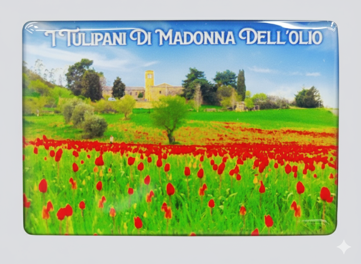 Calamita Rettangolare "I Tulipani di Madonna dell'Olio" 01