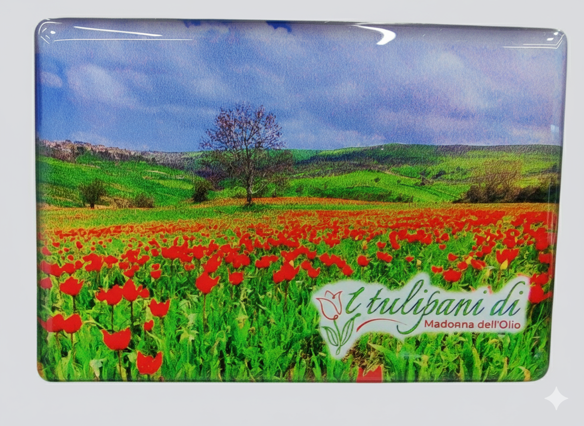 Calamita Rettangolare "Tulipani di Madonna dell'Olio"