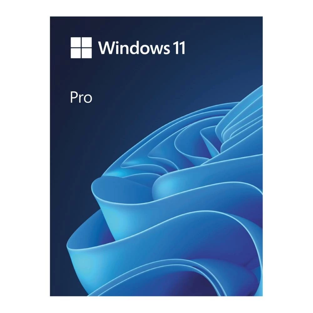 Windows Pro FPP 11 64-bit English Intl USB