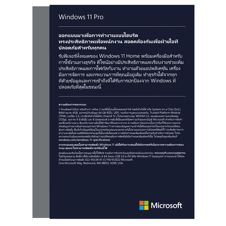 Windows Pro FPP 11 64-bit English Intl USB