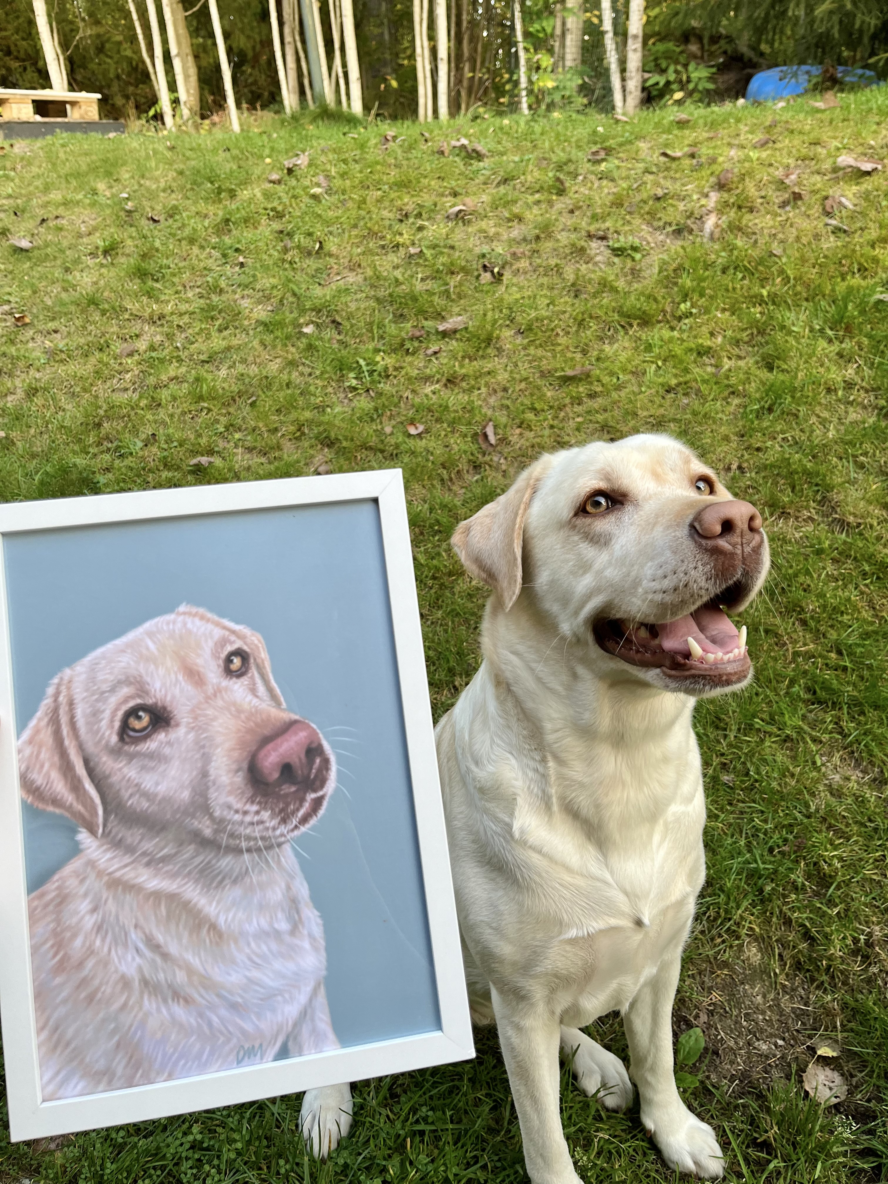 Custom Digital Pet Portrait