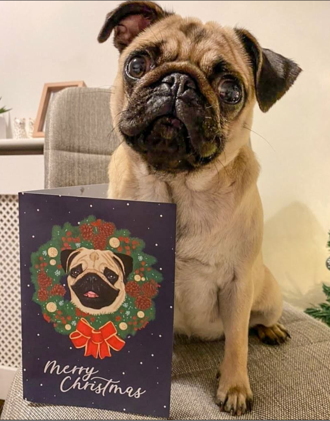 Custom Digital Pet Portrait