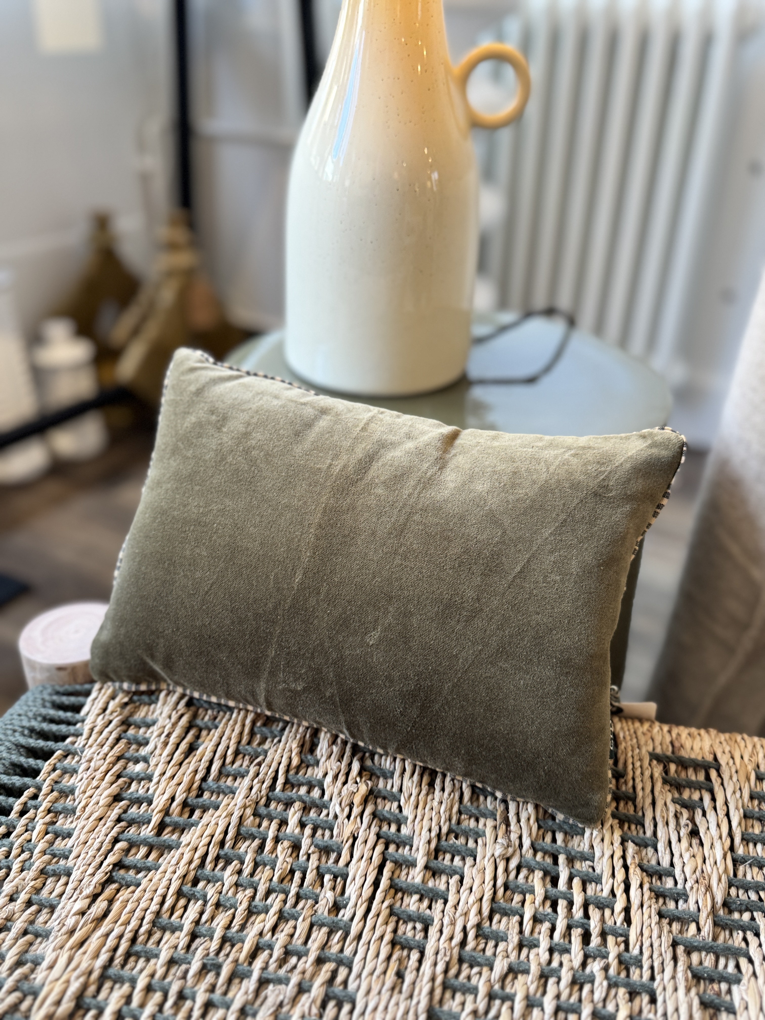 Coussin décoratif en velours