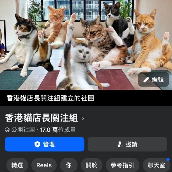 香港貓店長關注組 
