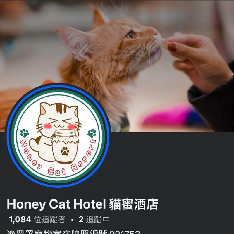 Honey Cat Hotel 貓蜜酒店｜荔枝角｜寵物酒店｜寵物美容