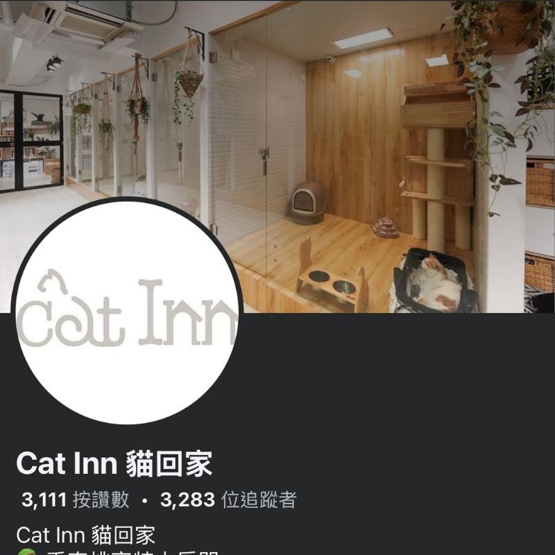 Cat Inn 貓回家｜觀塘｜寵物酒店