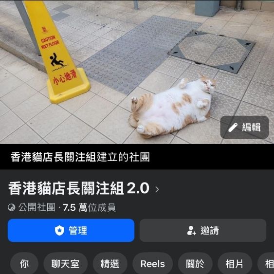 香港貓店長關注組 