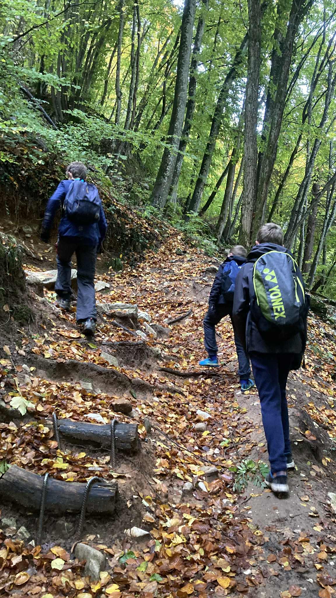 Stage multisports Printemps