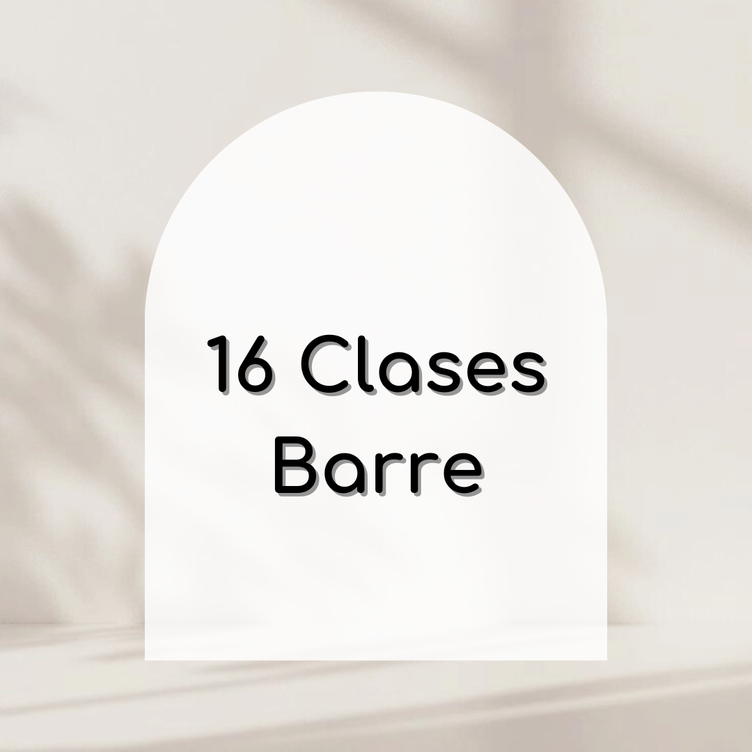 Paquete 16 clases barre