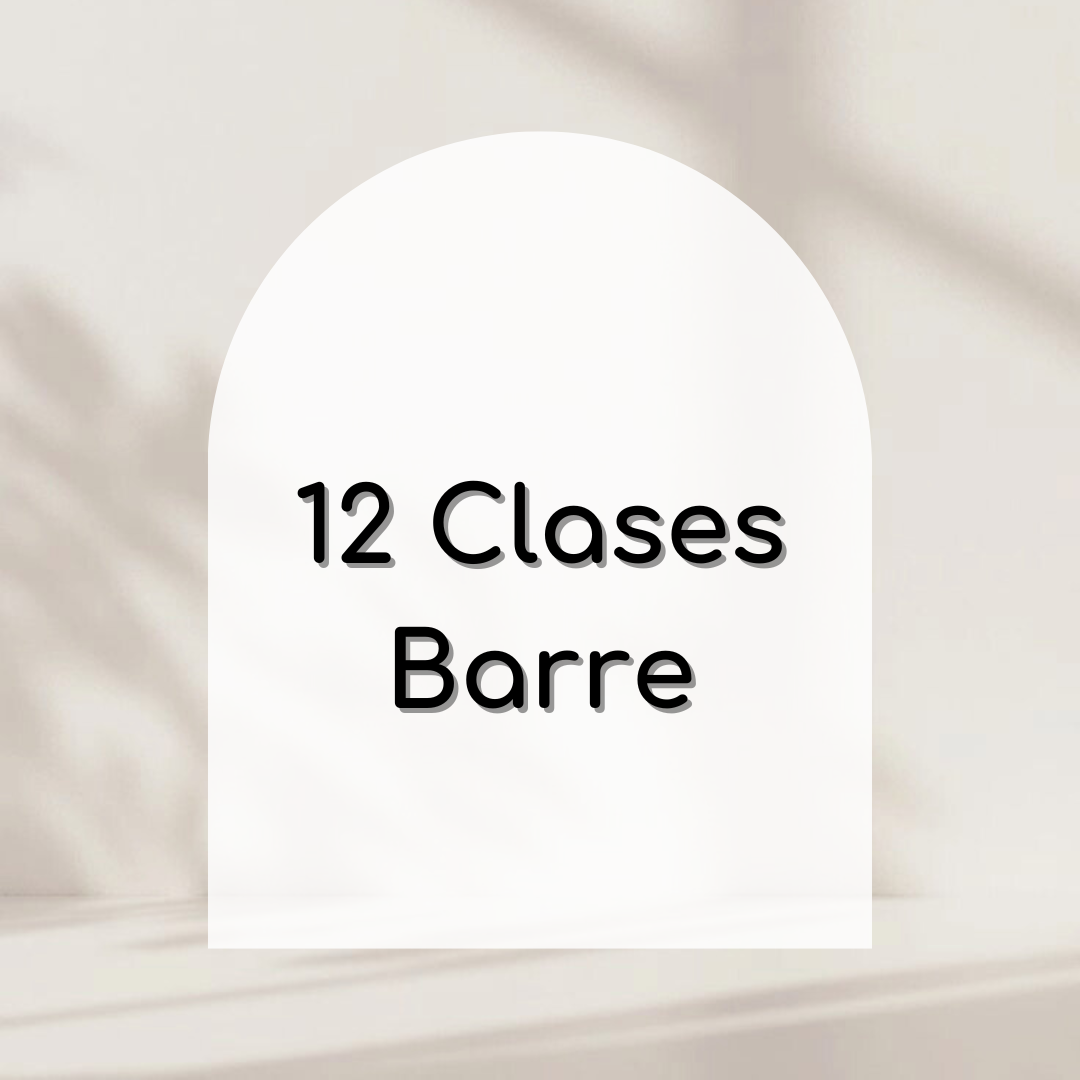 Paquete 12 clases barre