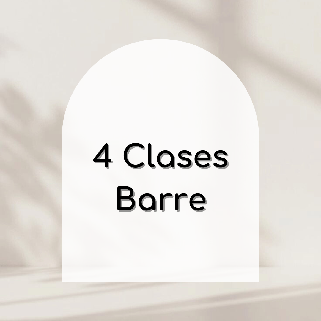 Paquete 4 clases barre