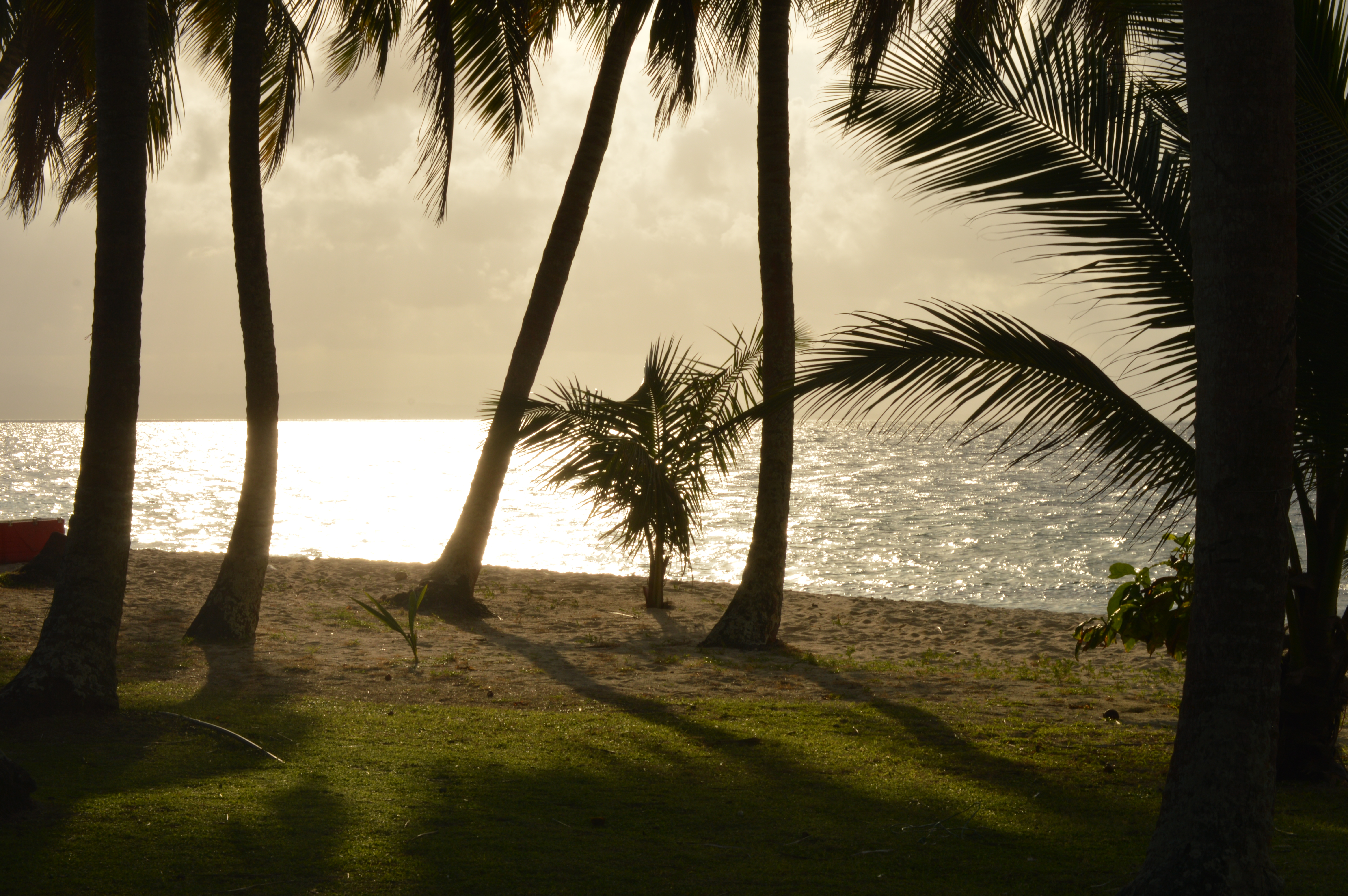 Feedback "Miami realista"