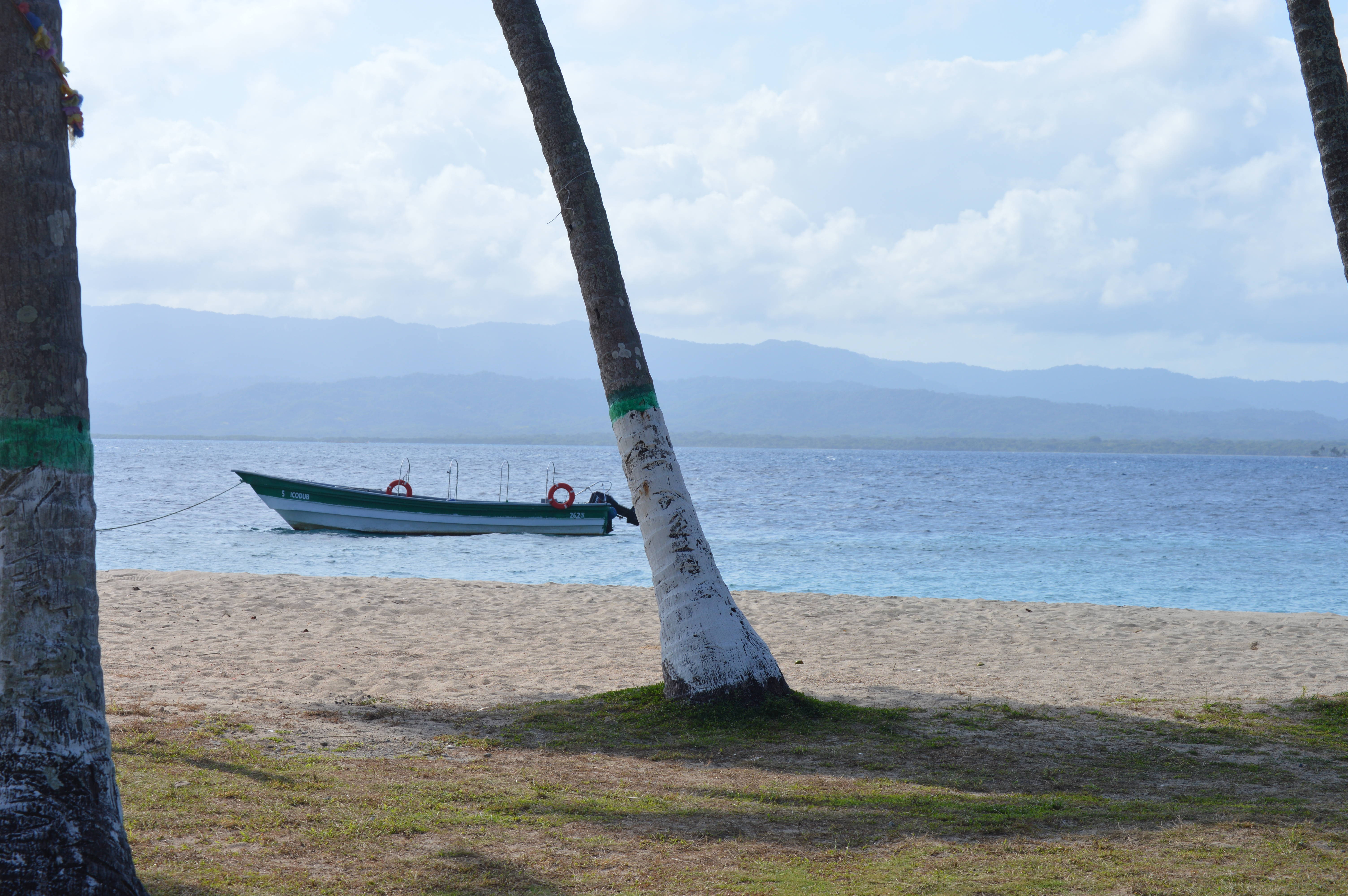 Feedback "La visión inicial"