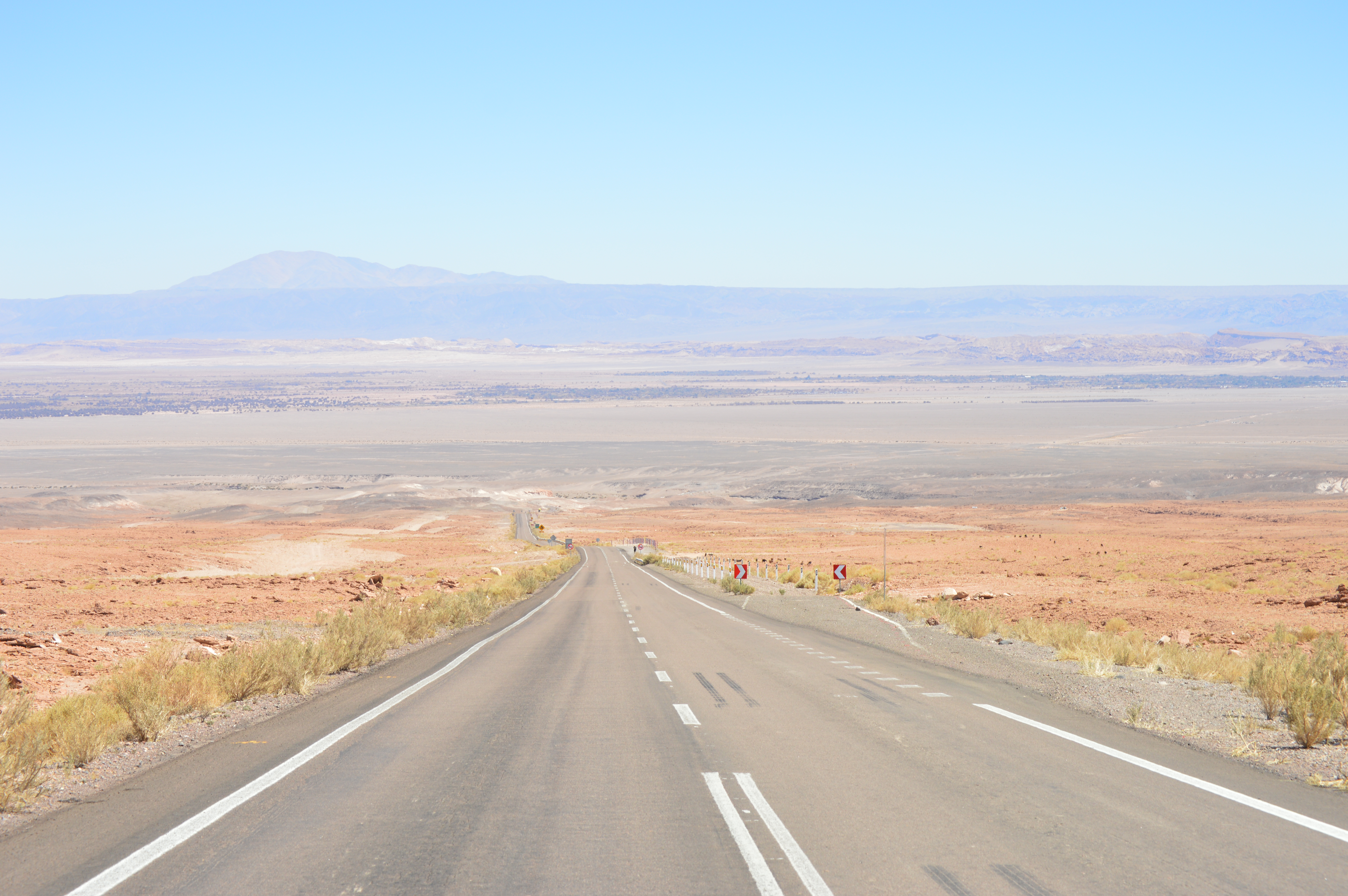 Entregable "Cronograma de marketing".