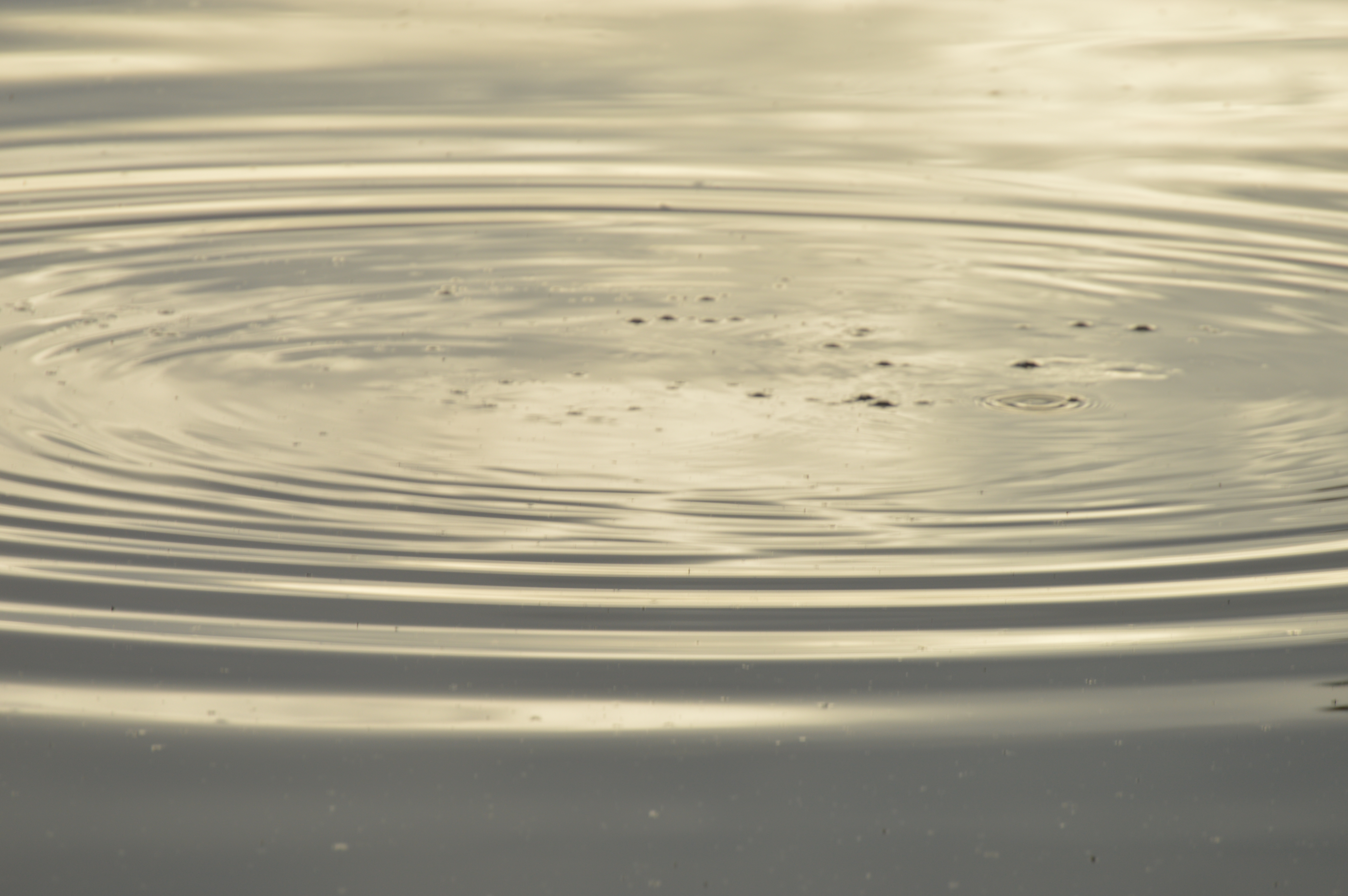 Entregable "Diagnóstico salud del negocio"