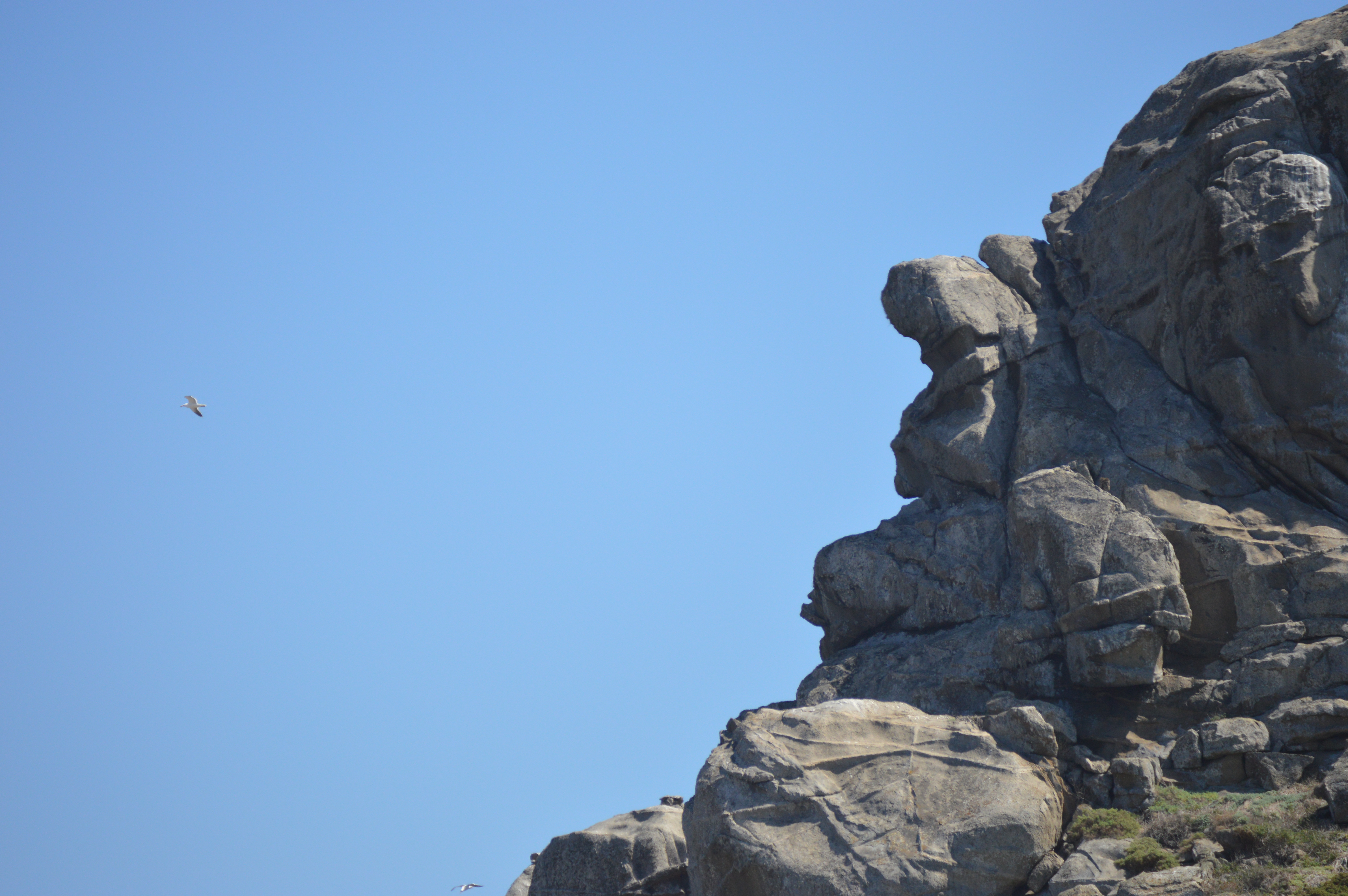 Entregable "Estrategia de marca"