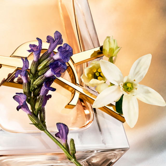 YVES SAINT LAURENT Libre EDP 90ML