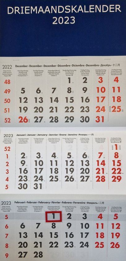 Three-Month Wall Calendar 2026