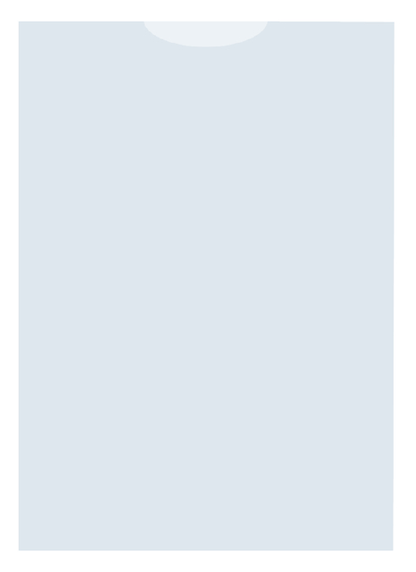 Plastic Document Sleeve