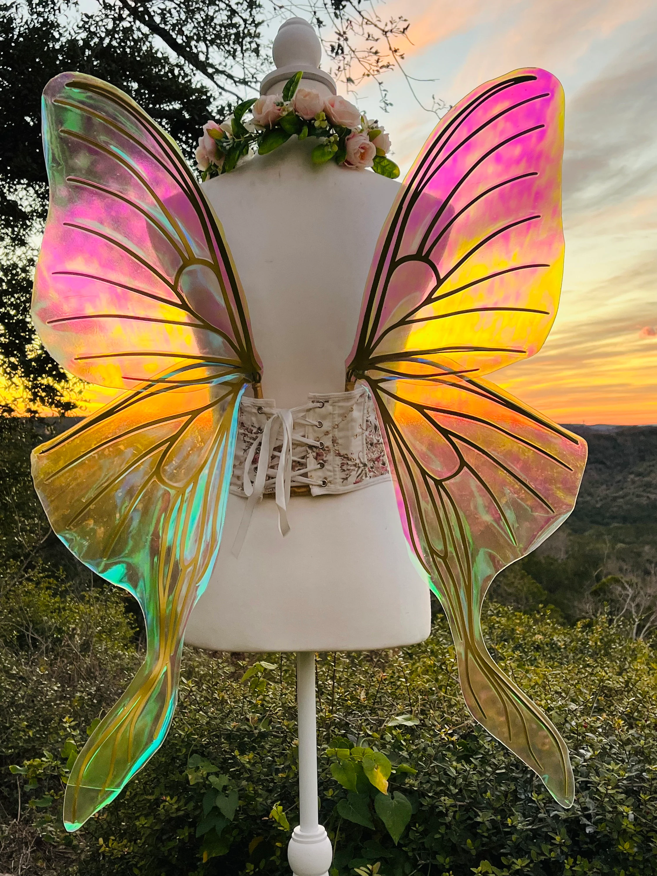 Iridescent Fairy Wings Costume Luna Moth